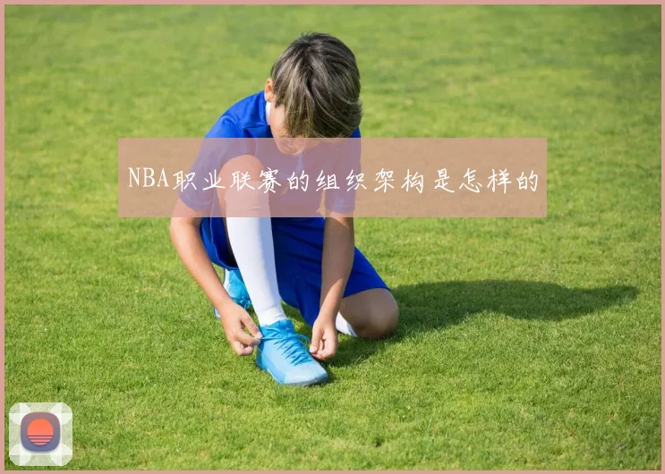 NBA职业联赛的组织架构是怎样的