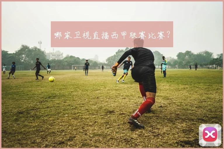 哪家卫视直播西甲联赛比赛？