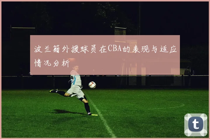 波兰籍外援球员在CBA的表现与适应情况分析