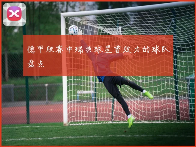 德甲联赛中瑞典球星曾效力的球队盘点