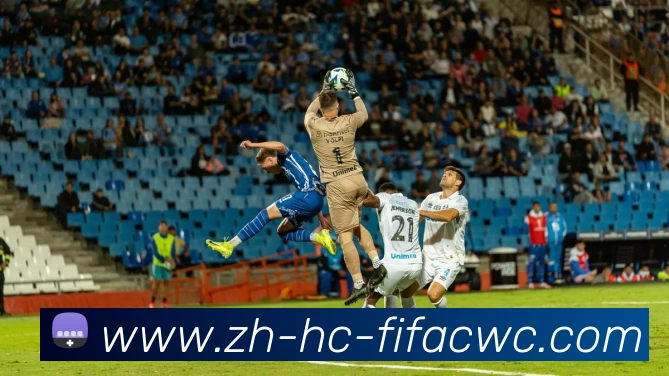 世界杯在线观看平台生态图