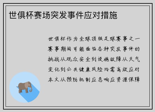 世俱杯赛场突发事件应对措施