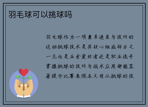 羽毛球可以挑球吗